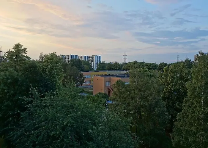 Song Festival 5-10 Minutes From Airport, Bus Station, Festival Area Appartement