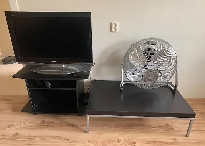 Song Festival 5-10 Minutes From Airport, Bus Station, Festival Area