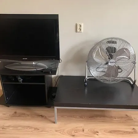 Song Festival 5-10 Minutes From Airport, Bus Station, Festival Area